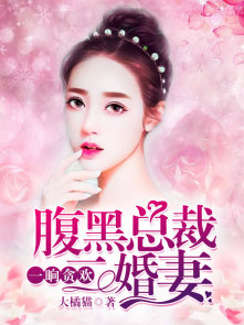 一晌贪欢:腹黑总裁二婚妻
