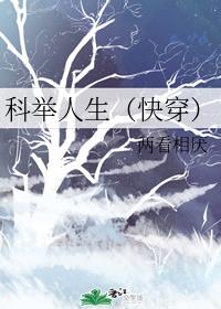科举人生(快穿)