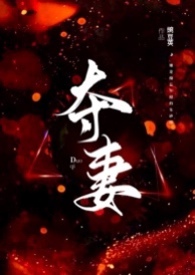 夺妻(1V1 高H)